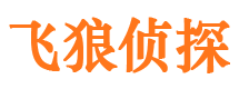 峰峰婚外情调查取证